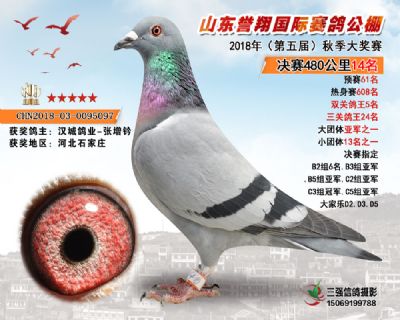 山东誉翔决赛14名