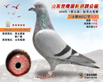 山东誉翔决赛16名
