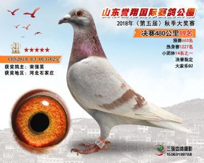 山东誉翔决赛19名