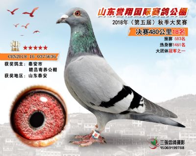 山东誉翔决赛18名