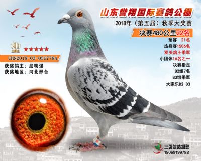 山东誉翔决赛22名