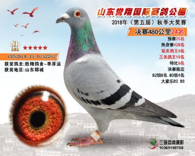 山东誉翔决赛24名