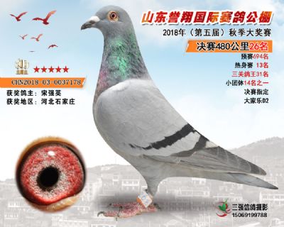 山东誉翔决赛26名
