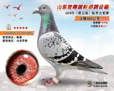 山东誉翔决赛29名