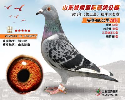山东誉翔决赛28名