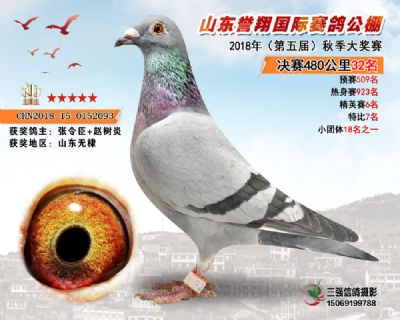 山东誉翔决赛32名