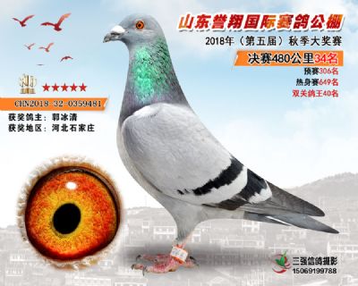山东誉翔决赛34名