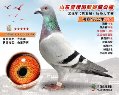 山东誉翔决赛33名