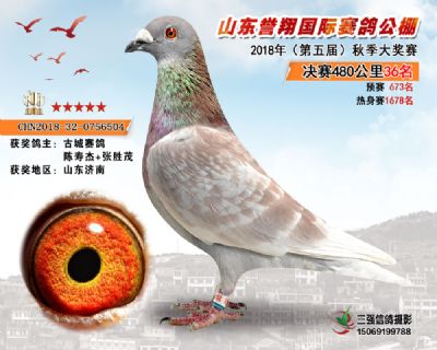 山东誉翔决赛36名