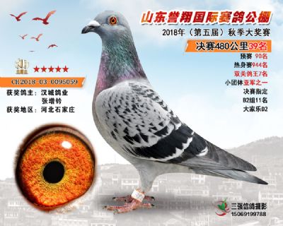山东誉翔决赛39名