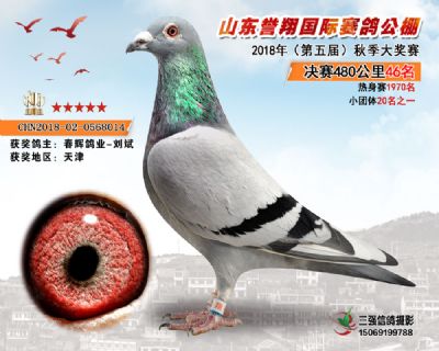 山东誉翔决赛46名