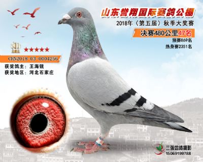 山东誉翔决赛47名