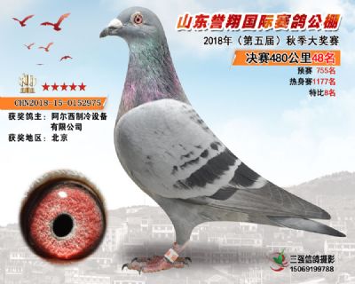 山东誉翔决赛48名