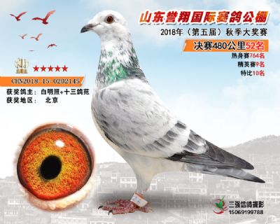 山东誉翔决赛52名