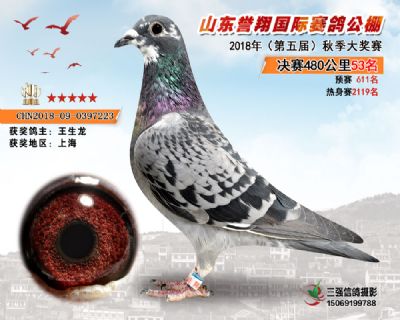 山东誉翔决赛53名