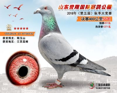 山东誉翔决赛55名