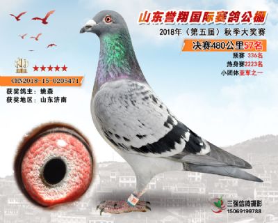 山东誉翔决赛57名