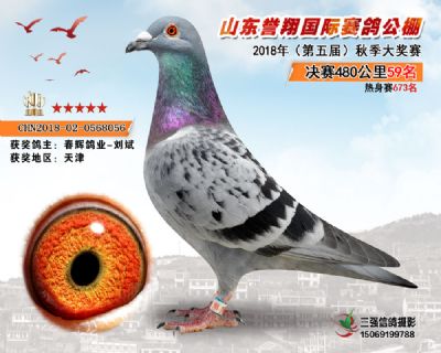 山东誉翔决赛59名