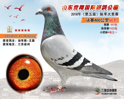 山东誉翔决赛60名