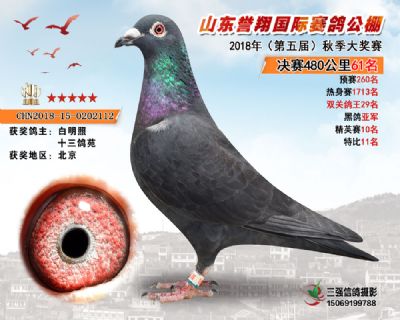 山东誉翔决赛61名