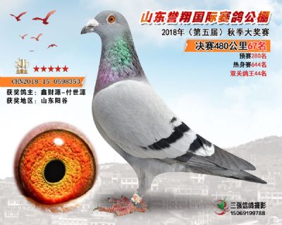 山东誉翔决赛67名