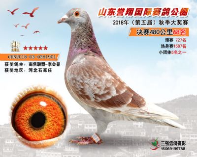 山东誉翔决赛68名