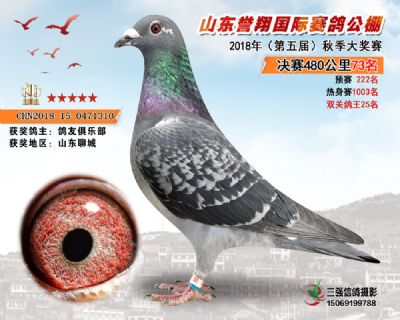 山东誉翔决赛73名