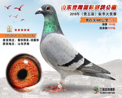 山东誉翔决赛75名