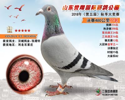 山东誉翔决赛77名