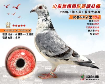 山东誉翔决赛79名