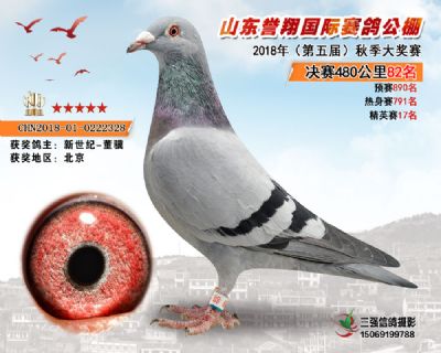 山东誉翔决赛82名