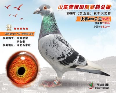 山东誉翔决赛85名