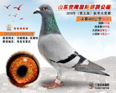 山东誉翔决赛86名