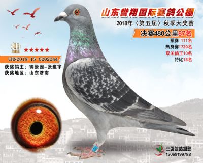 山东誉翔决赛87名