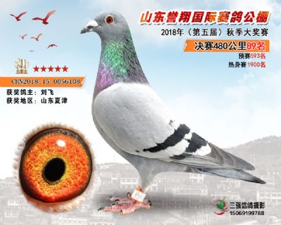 山东誉翔决赛89名