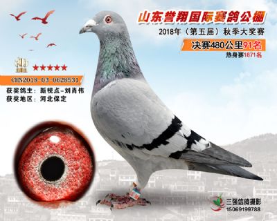 山东誉翔决赛91名