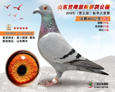 山东誉翔决赛95名