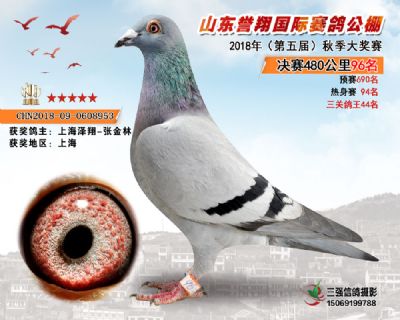 山东誉翔决赛96名