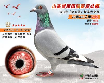 山东誉翔决赛97名