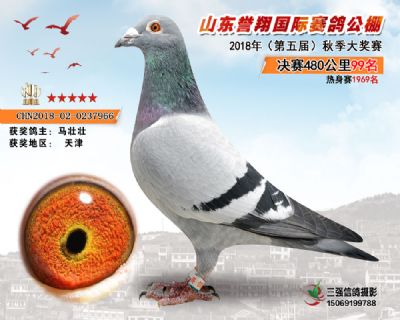 山东誉翔决赛99名