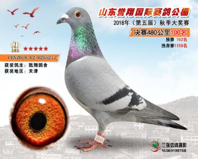 山东誉翔决赛100名