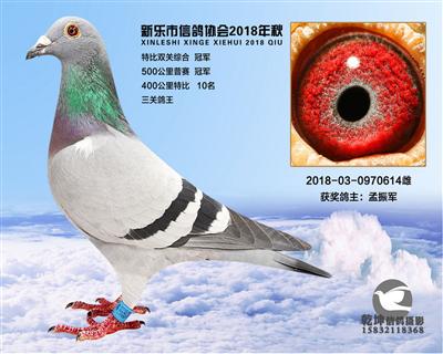 500公里冠军
