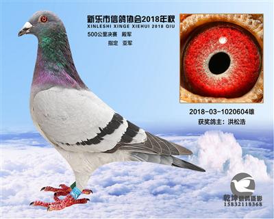 500公里殿军
