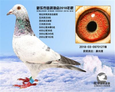 500公里5名