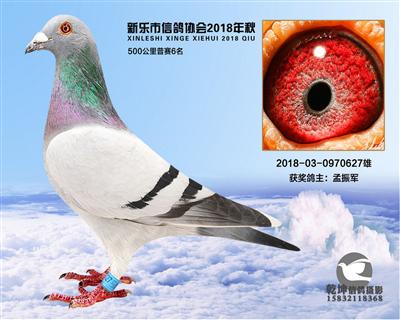 500公里6名