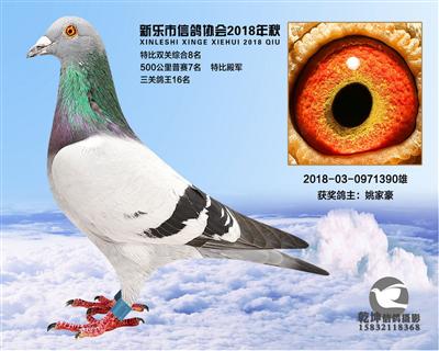 500公里7名