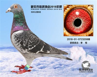500公里8名