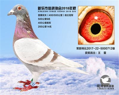 500公里9名
