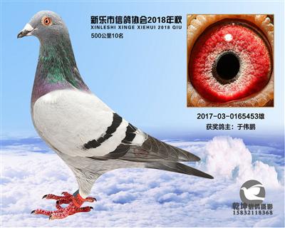 500公里10名