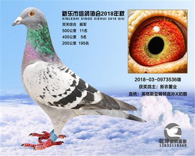 500公里11名